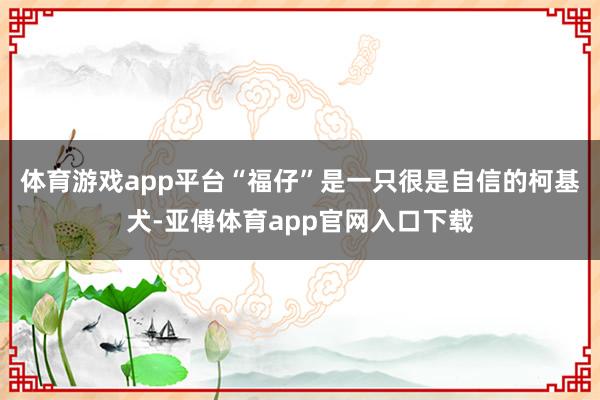 体育游戏app平台“福仔”是一只很是自信的柯基犬-亚傅体育app官网入口下载