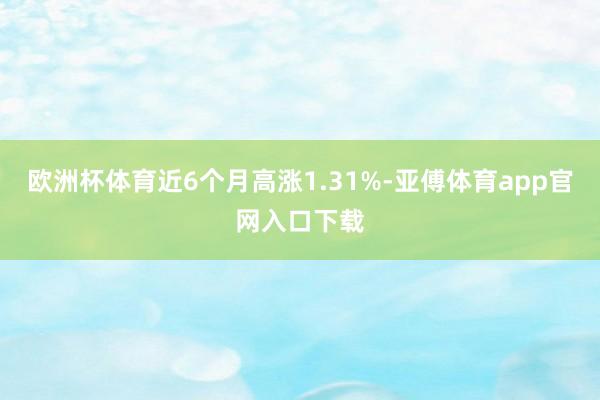 欧洲杯体育近6个月高涨1.31%-亚傅体育app官网入口下载