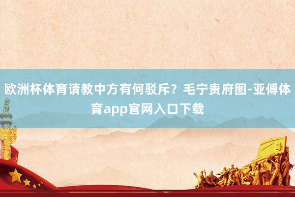 欧洲杯体育请教中方有何驳斥？毛宁贵府图-亚傅体育app官网入口下载