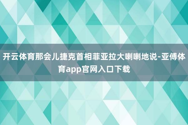 开云体育那会儿捷克首相菲亚拉大喇喇地说-亚傅体育app官网入口下载